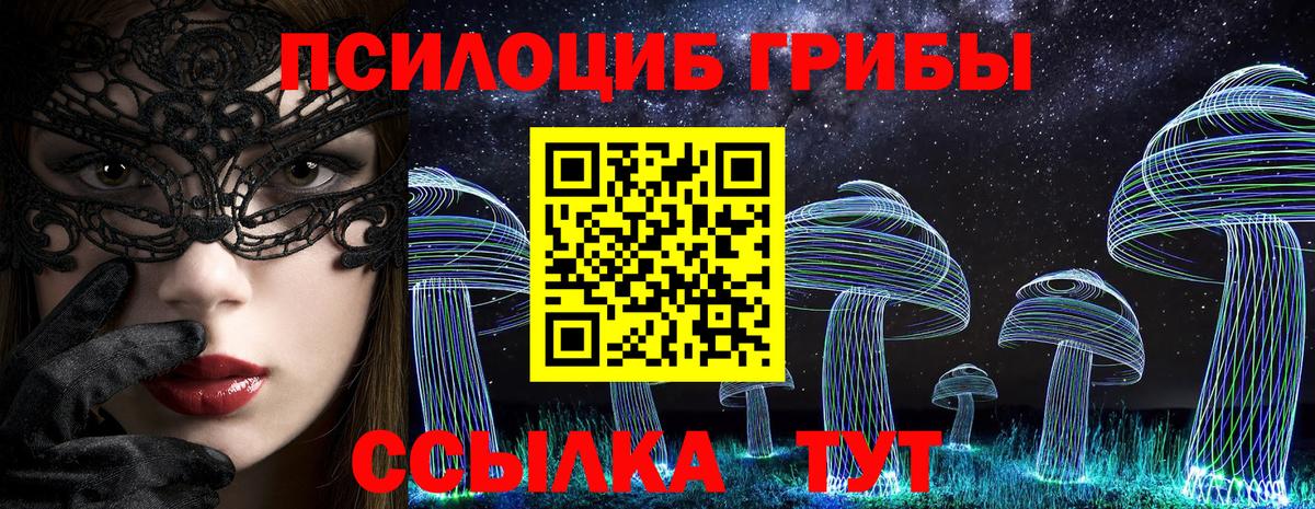 Галлюциногенные грибы Psilocybe Мурино