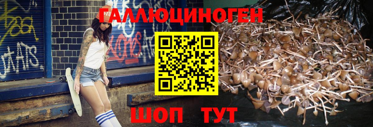 Галлюциногенные грибы Magic Shrooms  Вход с VPN  Мурино  Псилоцибиновые грибы ЛСД 